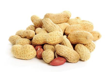Peanut Protein Sauce.jpg